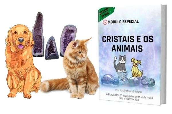 Bônus Cristais e os Animais